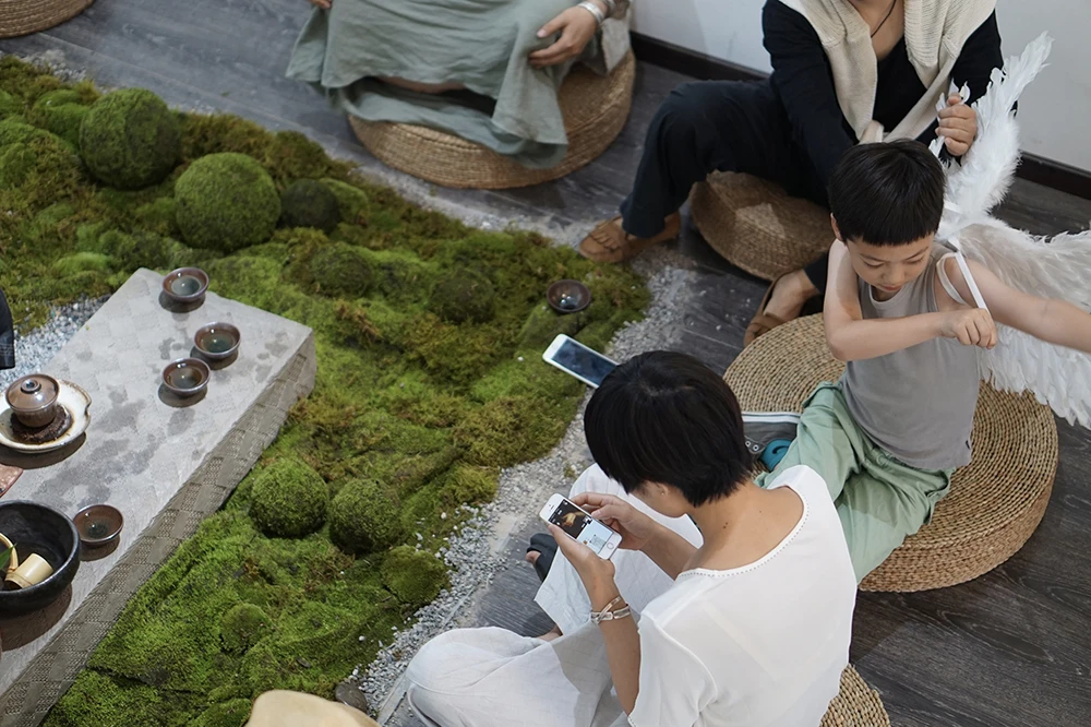 mountain_spring_07048