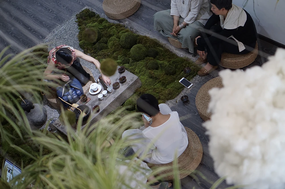 mountain_spring_07055