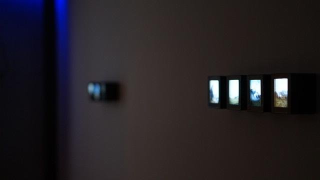 IMG_1546