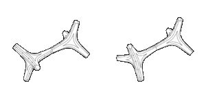 Tetrapod-Presentation_2-18_1600_c